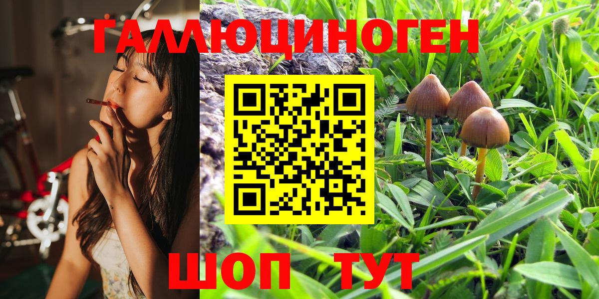 Галлюциногенные грибы MAGIC MUSHROOMS  Вход с VPN  Вологда 