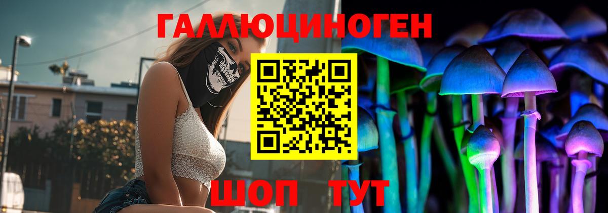 Галлюциногенные грибы Psilocybine cubensis Вологда